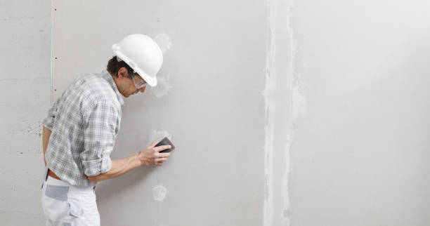 Best Comprehensive Air Testing for Mold Contaminants  in Atasdero, CA