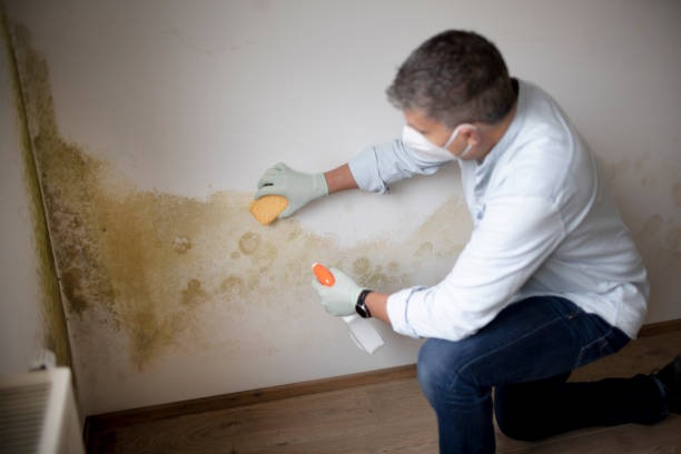 Best Post-Remediation Verification Testing  in Atasdero, CA