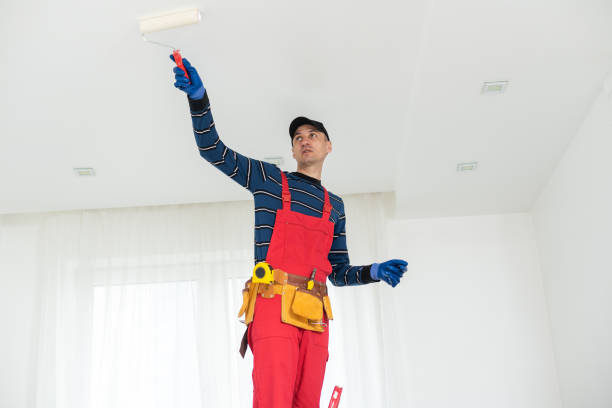 Best Attic Mold Removal  in Atasdero, CA