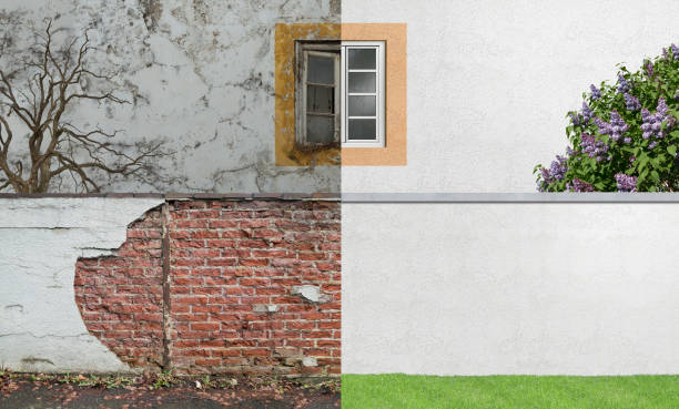 Forensic Mold Investigation in Atascadero, CA