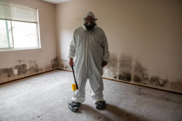 Best Airborne Mold Testing  in Atasdero, CA